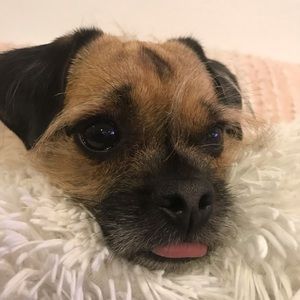 Meet your Posher, Aaron